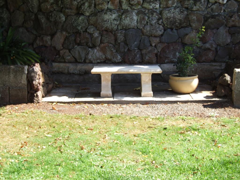 The Quiet Quarter Bed and Breakfast Auckland Exteriör bild